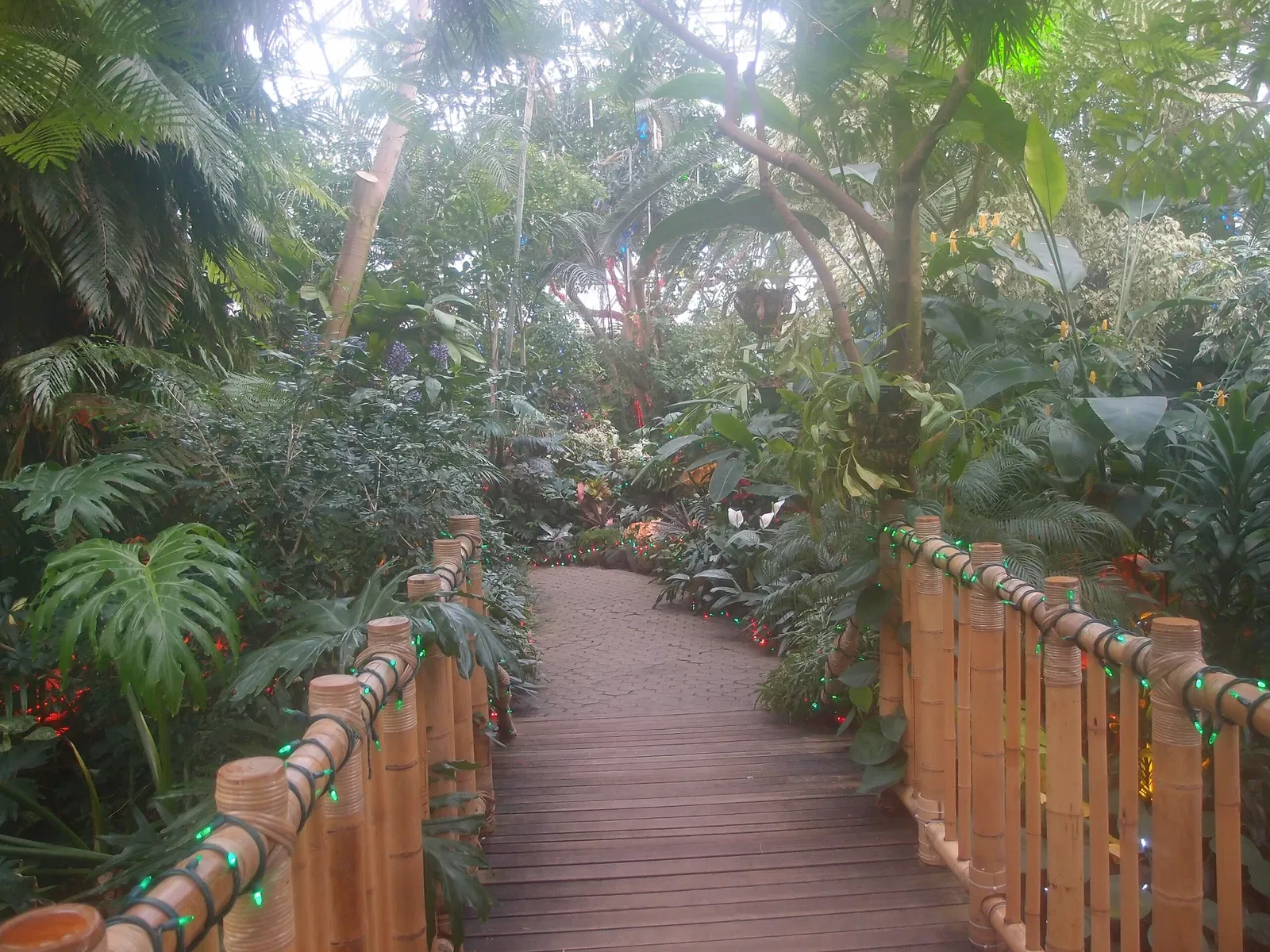 Bloedel Floral Conservatory