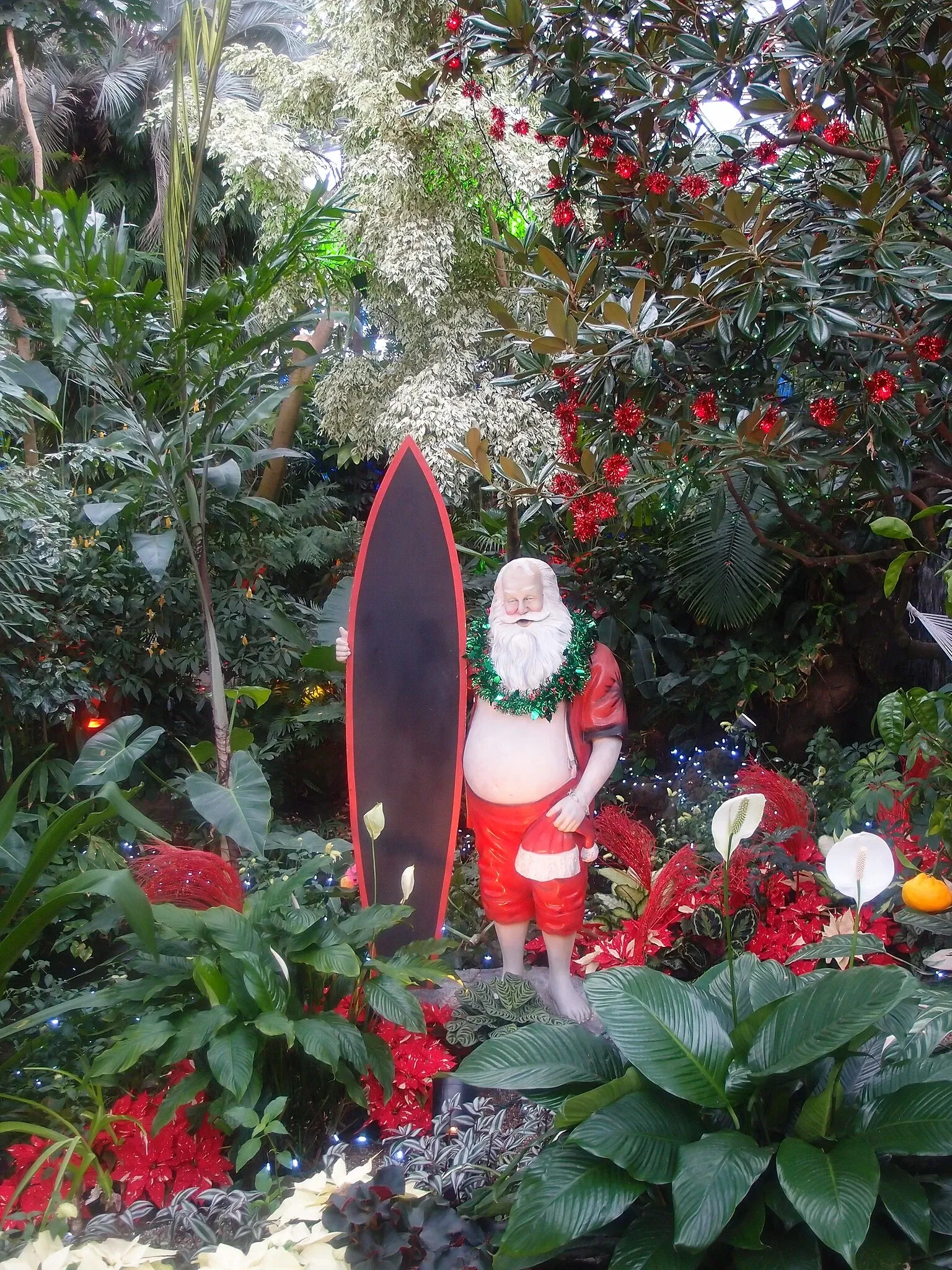 Bloedel Floral Conservatory