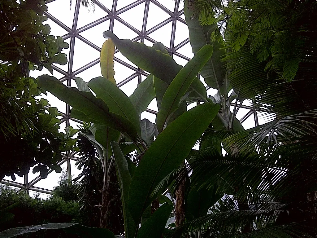 Bloedel Floral Conservatory