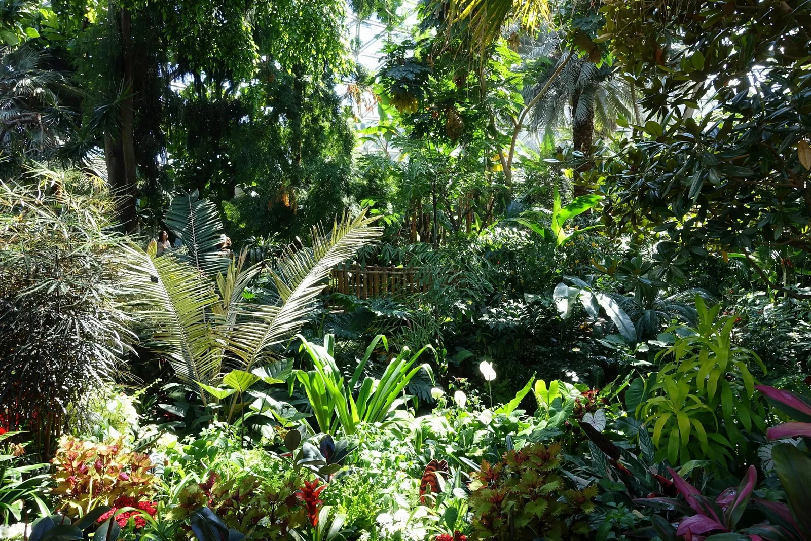 Bloedel Floral Conservatory