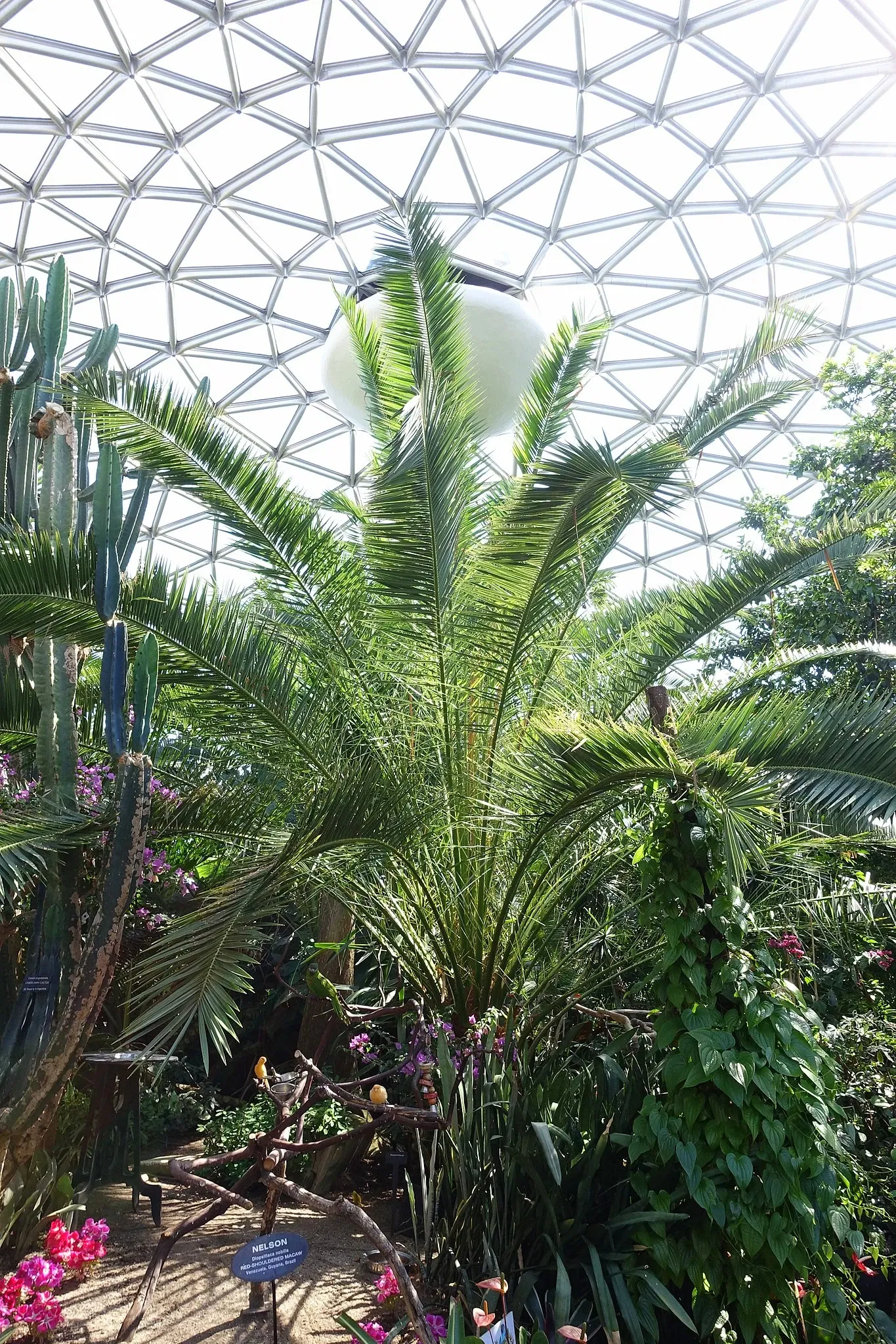 Bloedel Floral Conservatory