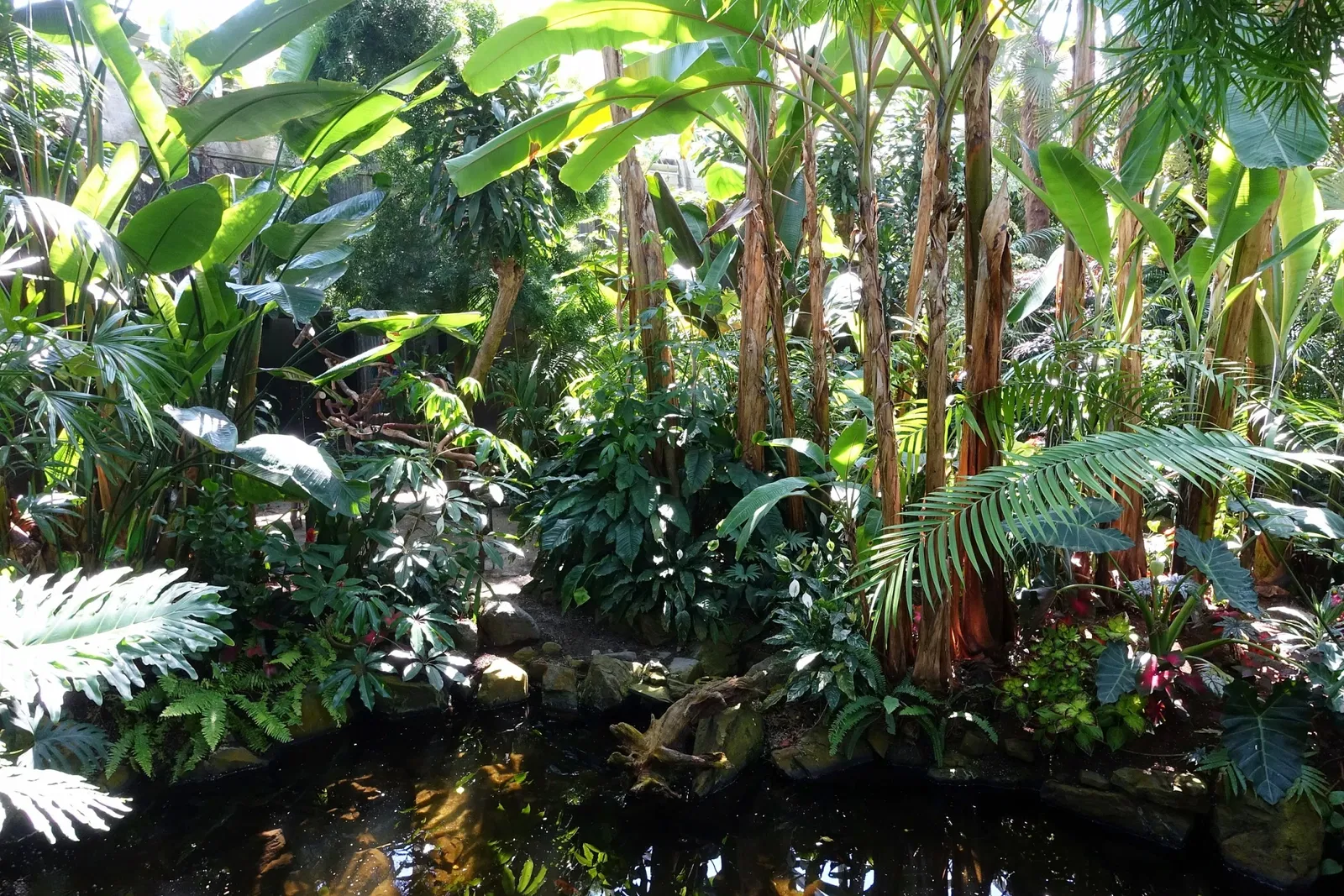 Bloedel Floral Conservatory