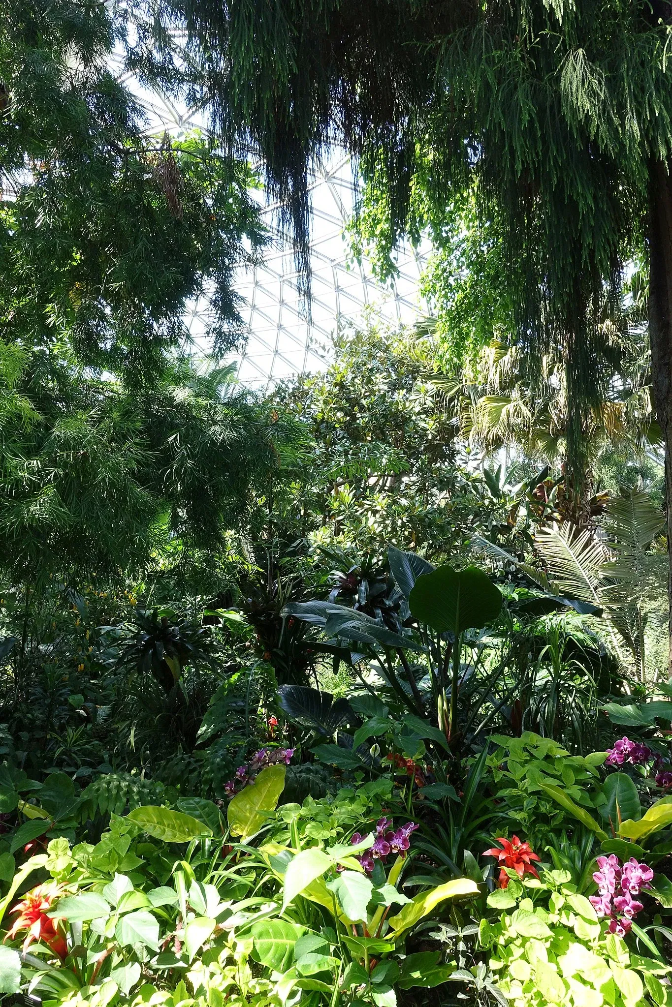 Bloedel Floral Conservatory