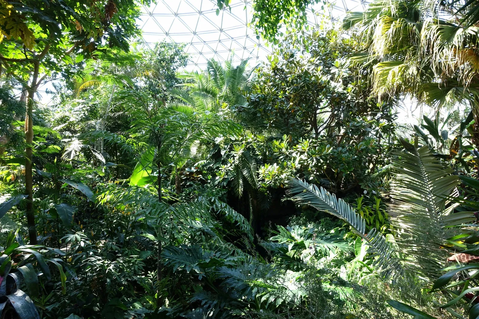 Bloedel Floral Conservatory