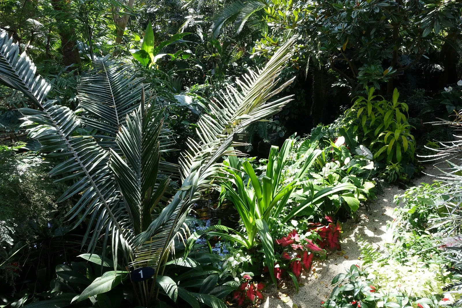 Bloedel Floral Conservatory