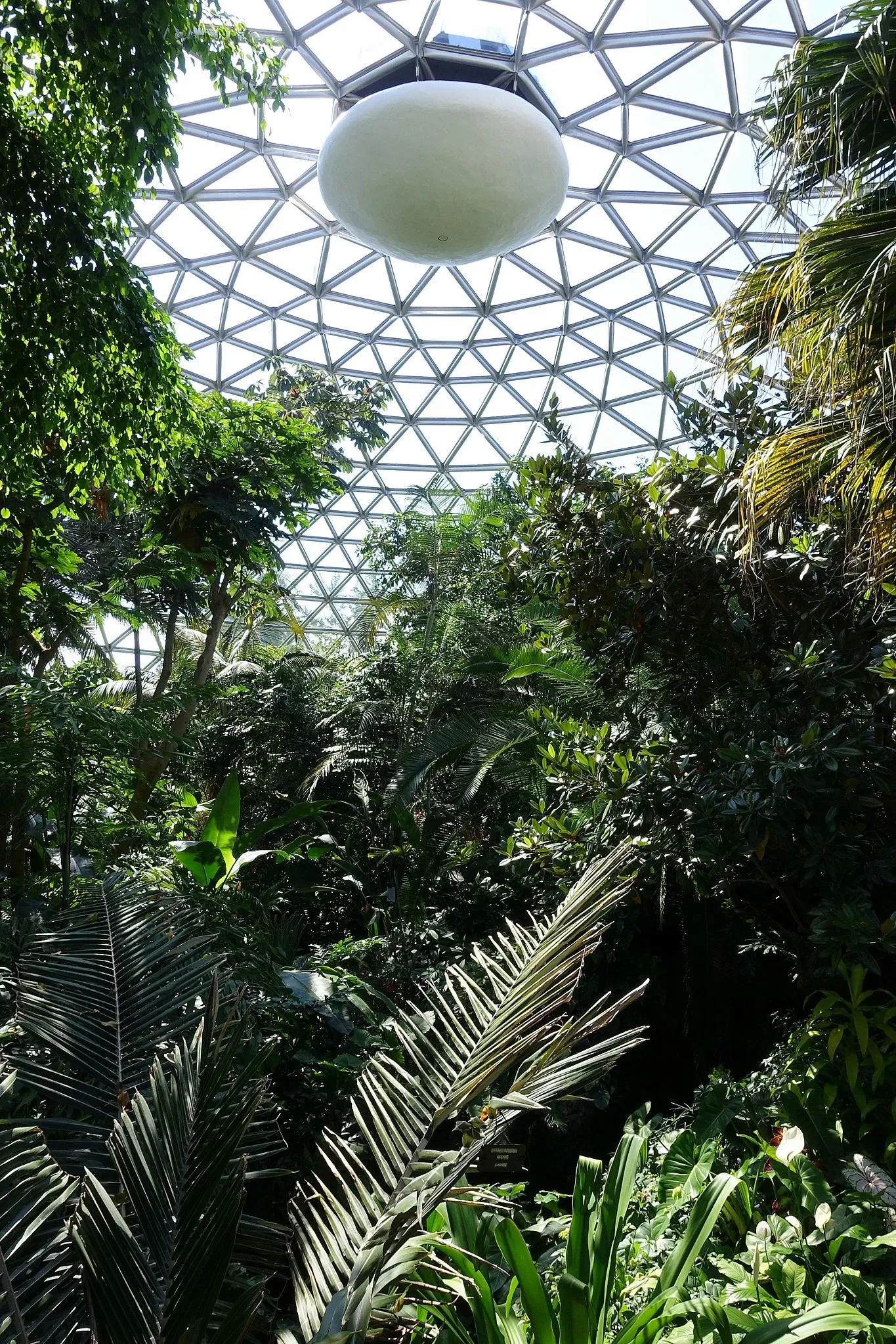 Bloedel Floral Conservatory