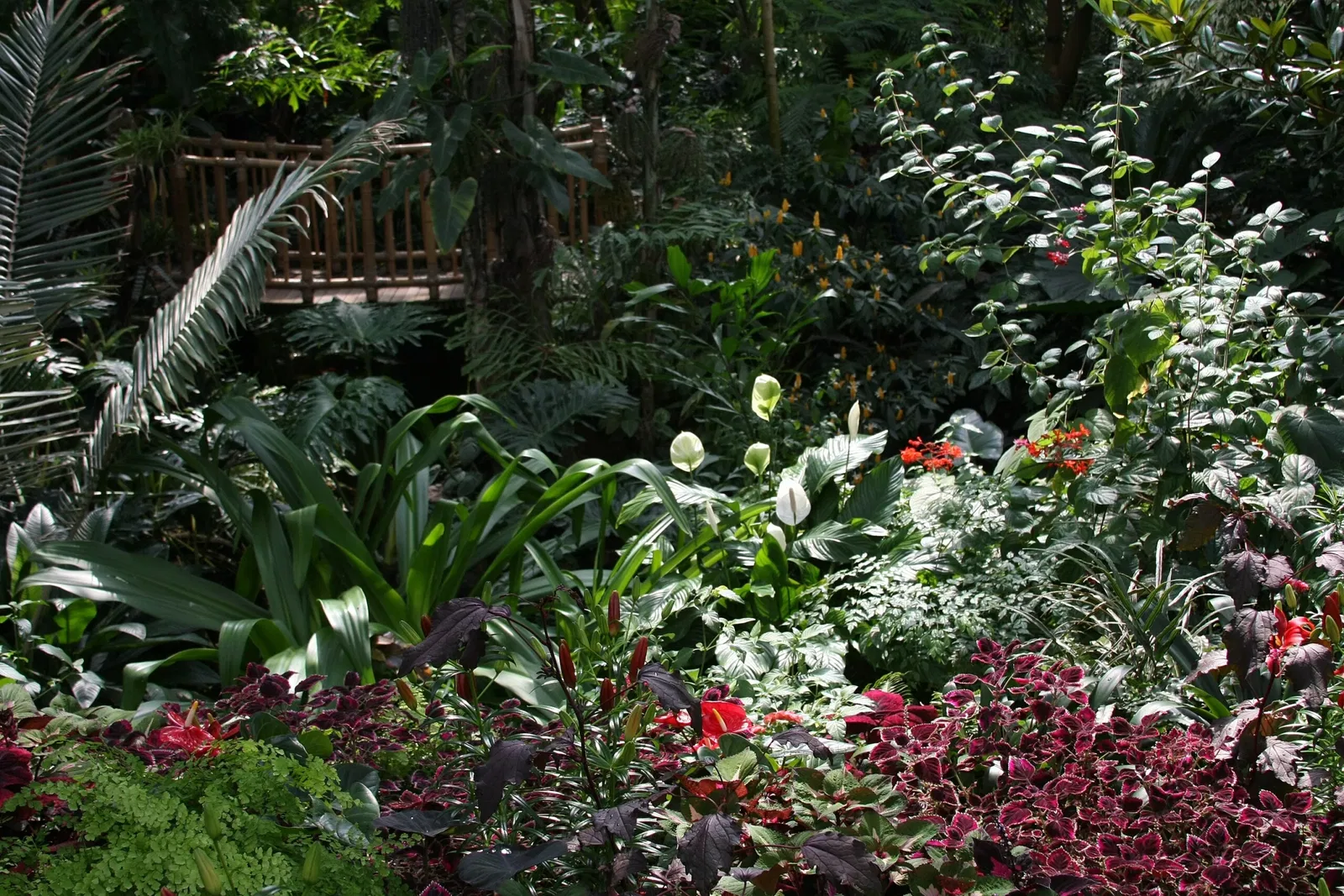 Bloedel Floral Conservatory