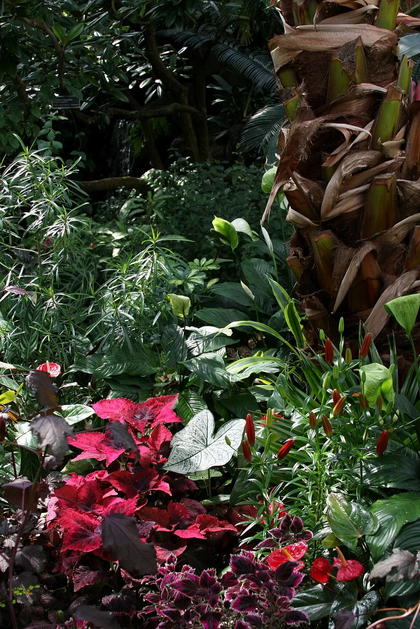 Bloedel Floral Conservatory