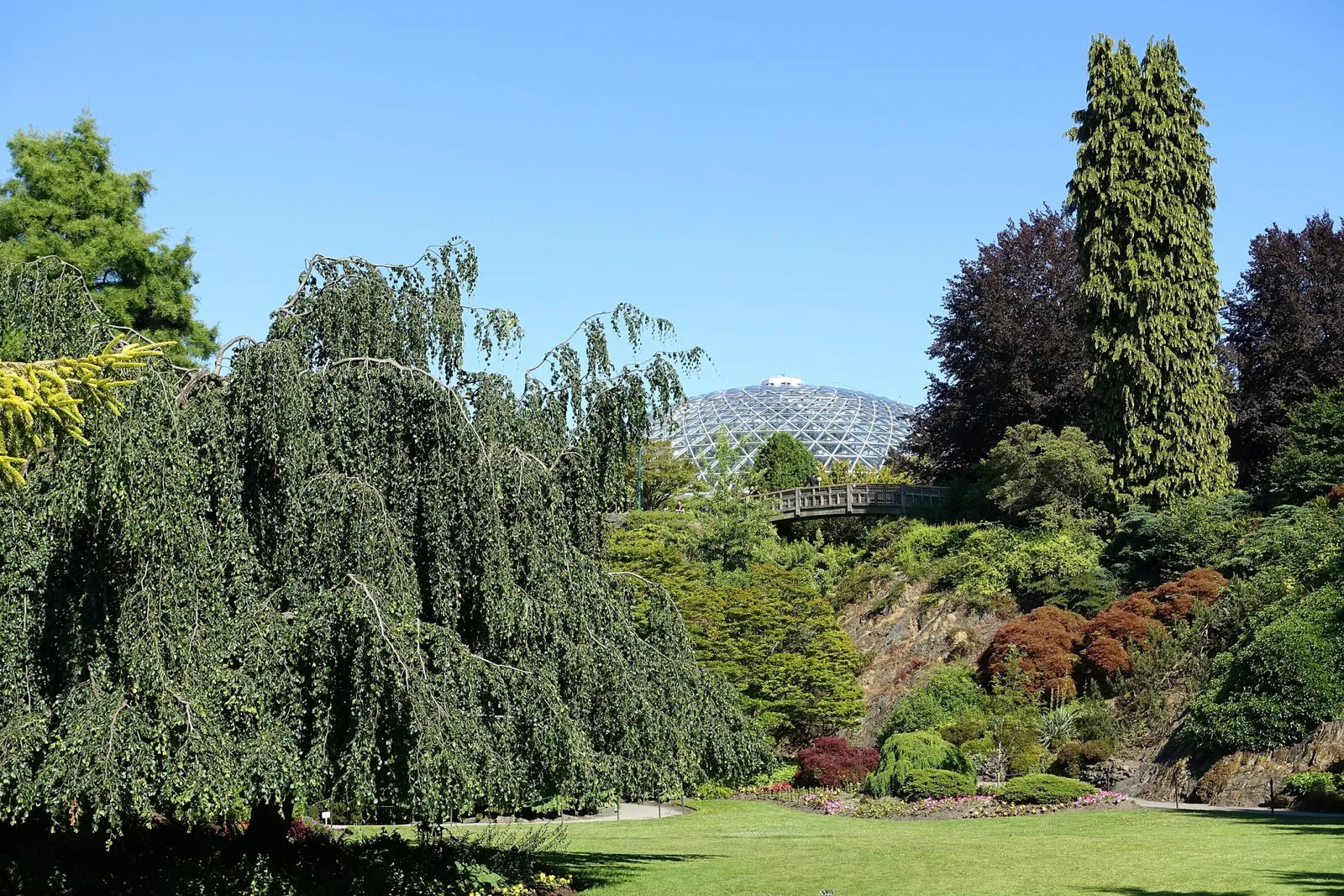 Bloedel Floral Conservatory