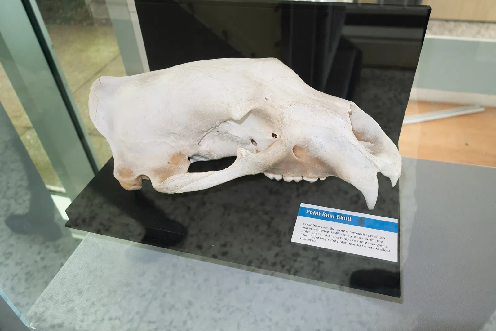 Museo marítimo de Vancouver