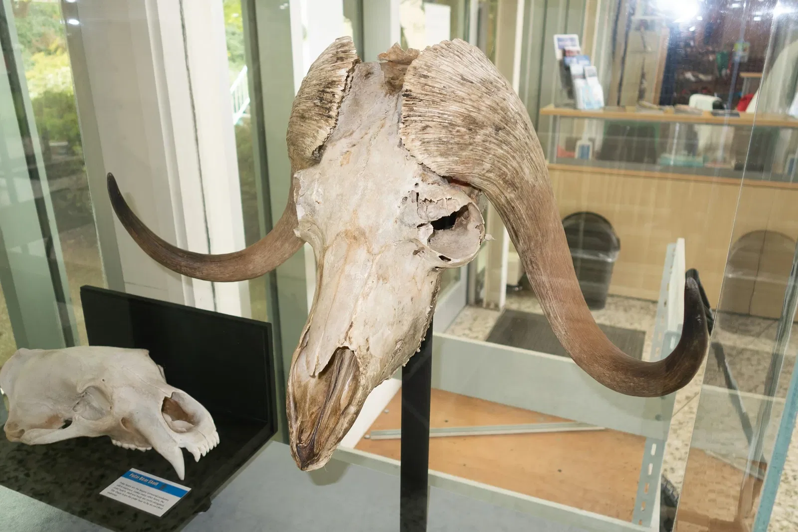 Musée maritime de Vancouver