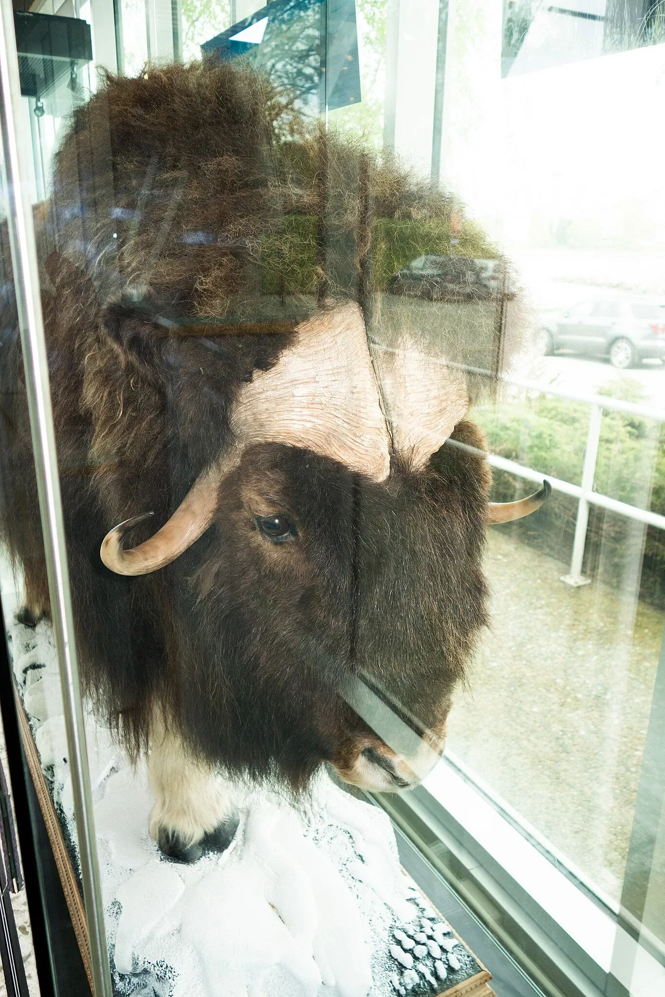 Vancouver Maritime Museum