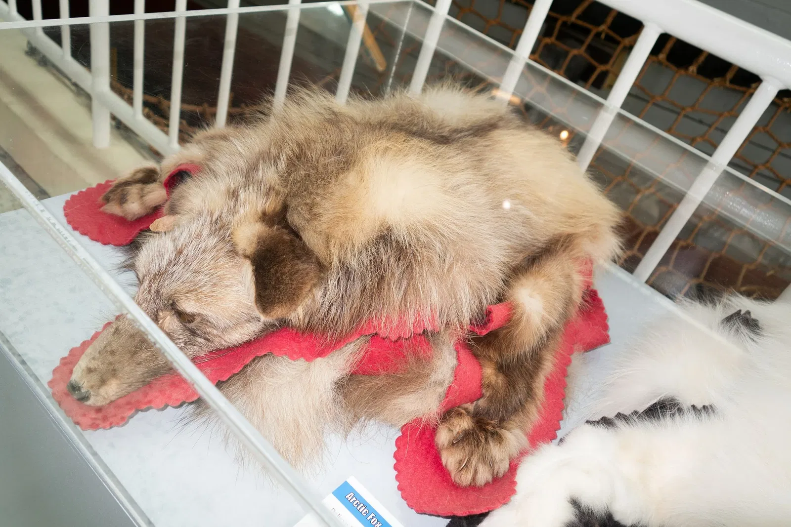 Vancouver Maritime Museum