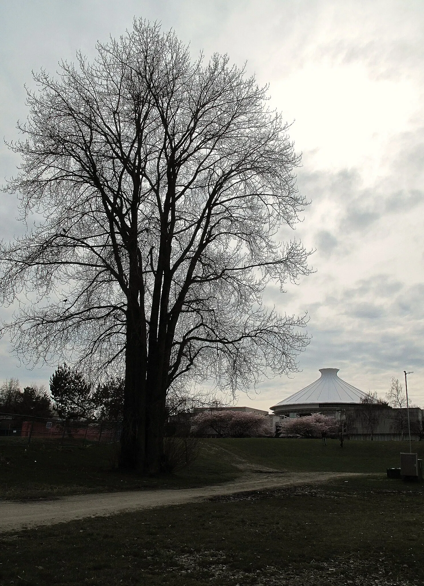 Centro espacial H. R. MacMillan