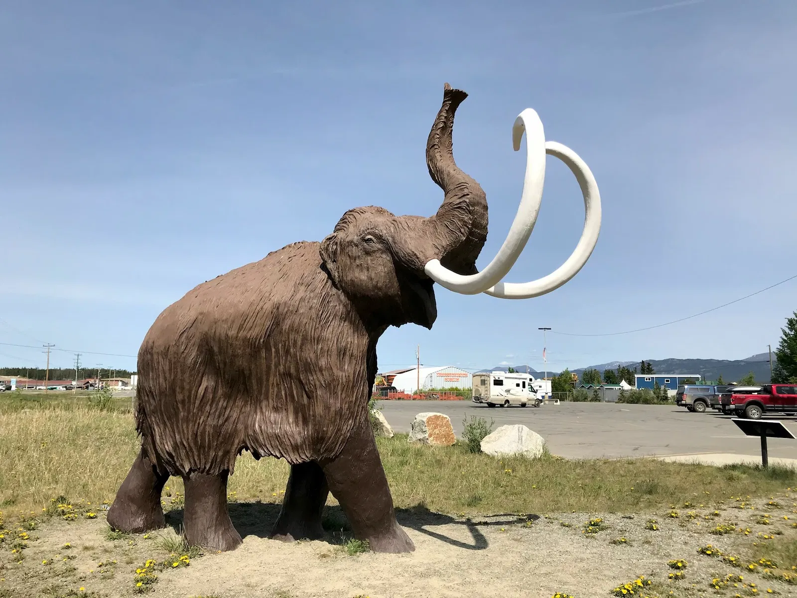 Yukon Beringia Interpretive Centre