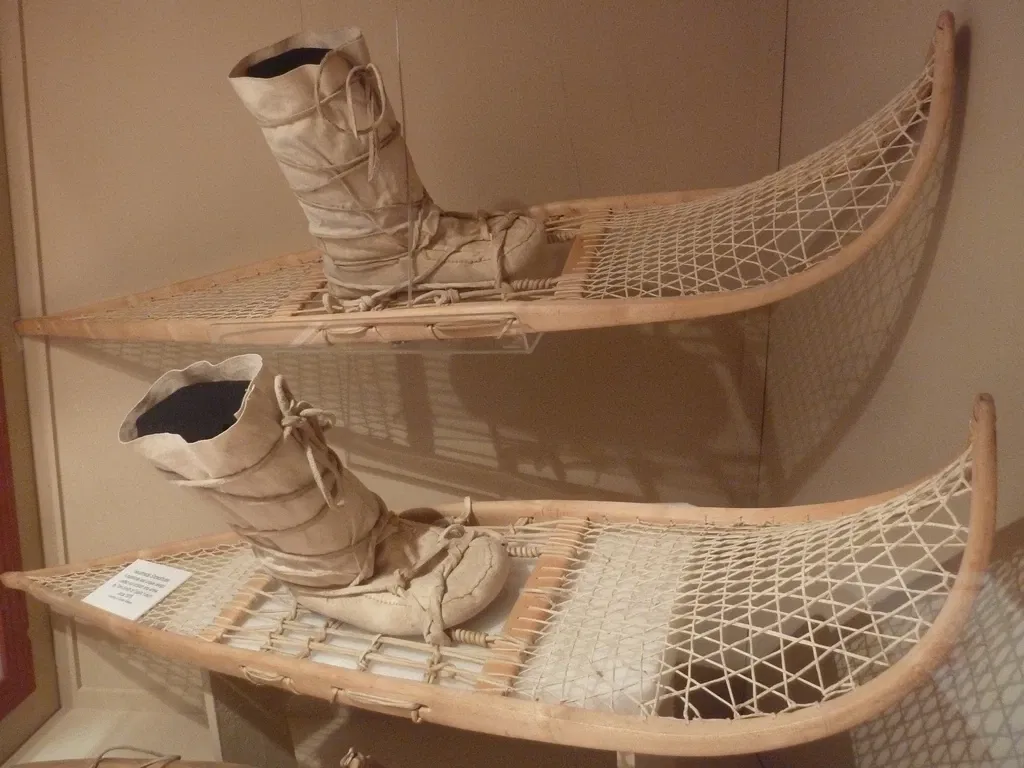 Yukon Beringia Interpretive Centre