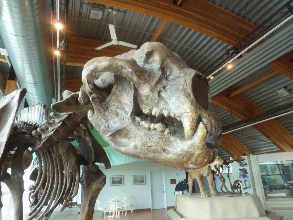 Yukon Beringia Interpretive Centre