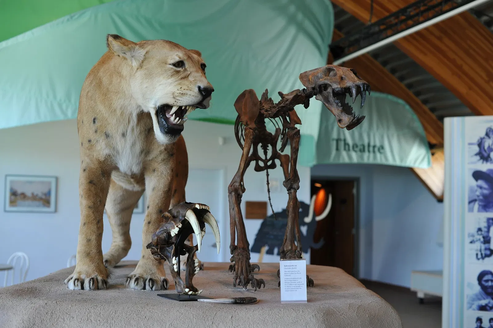 Yukon Beringia Interpretive Centre