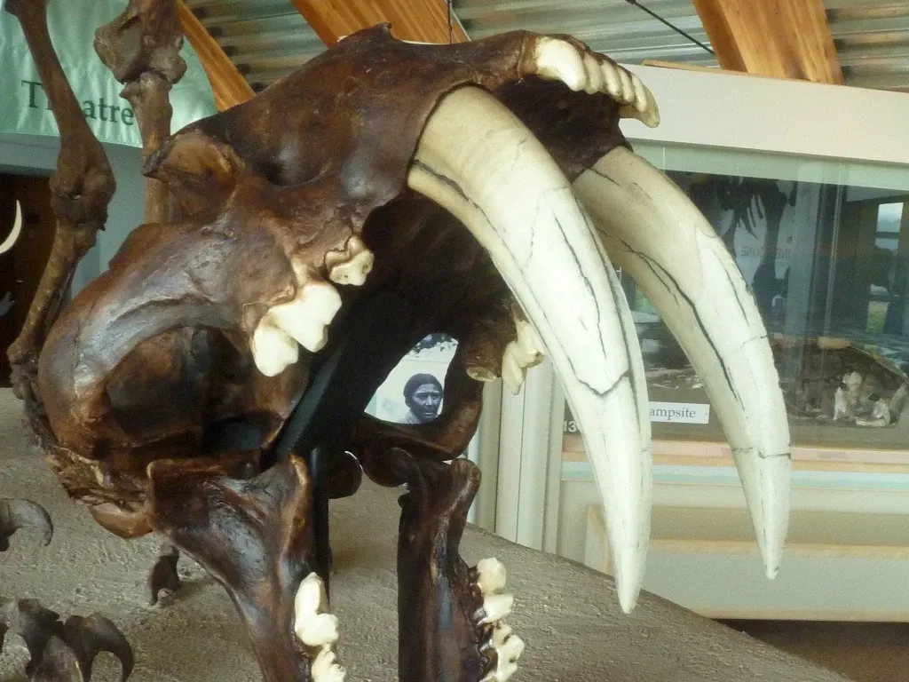 Yukon Beringia Interpretive Centre