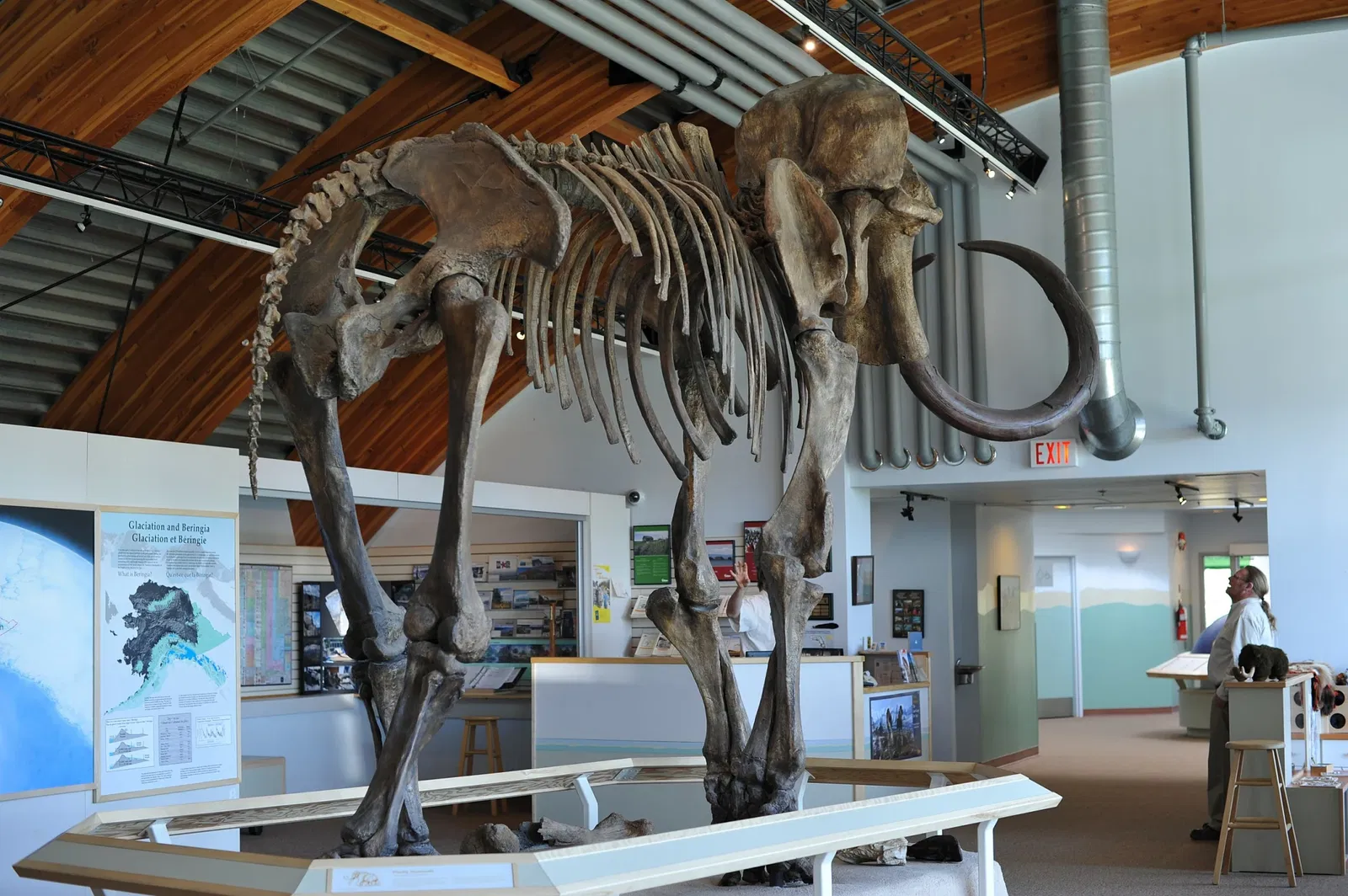 Yukon Beringia Interpretive Centre