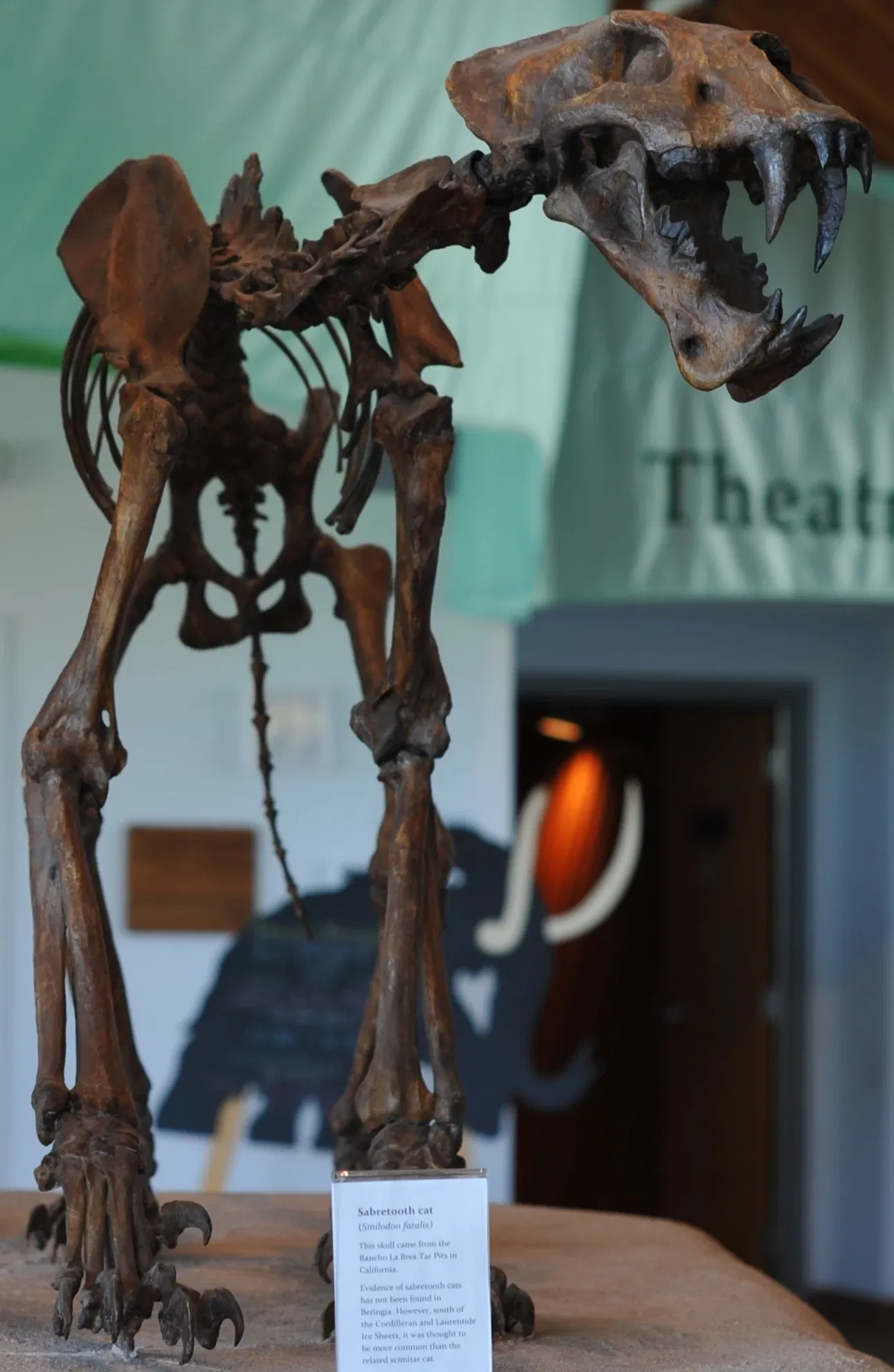 Yukon Beringia Interpretive Centre