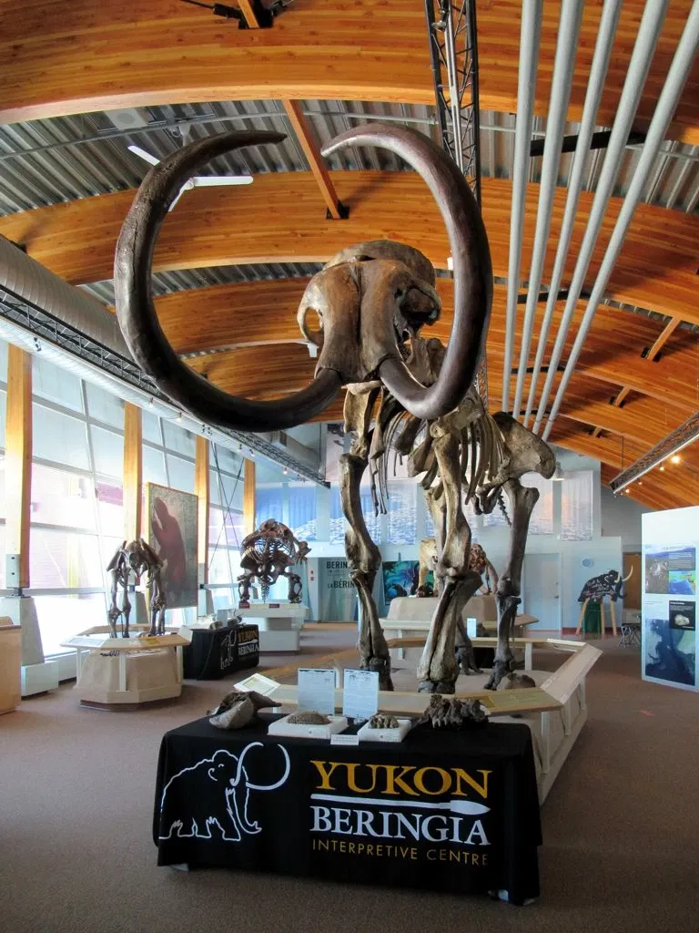 Yukon Beringia Interpretive Centre