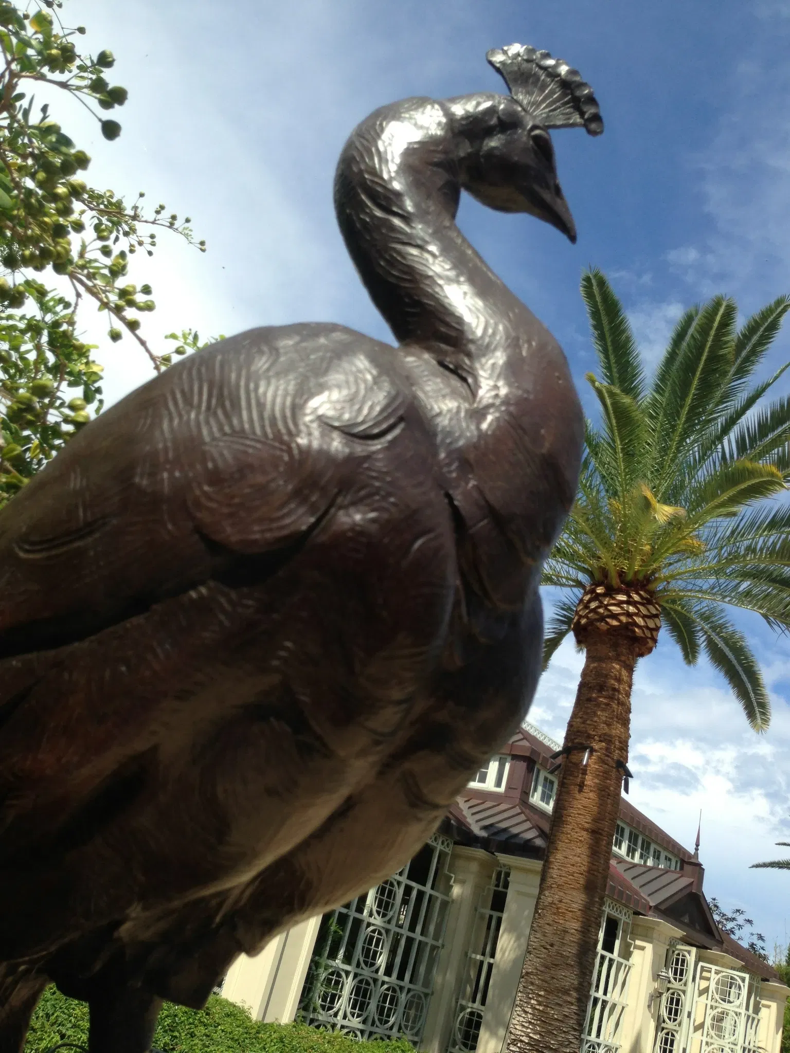 The Society of the Four Arts