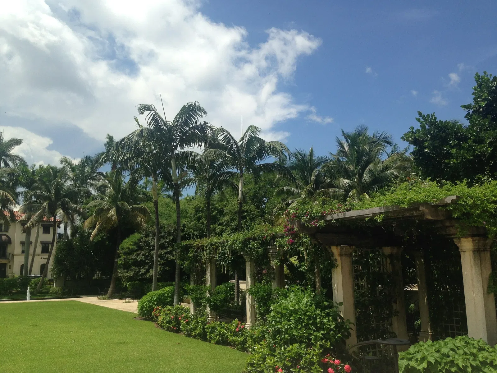 The Society of the Four Arts