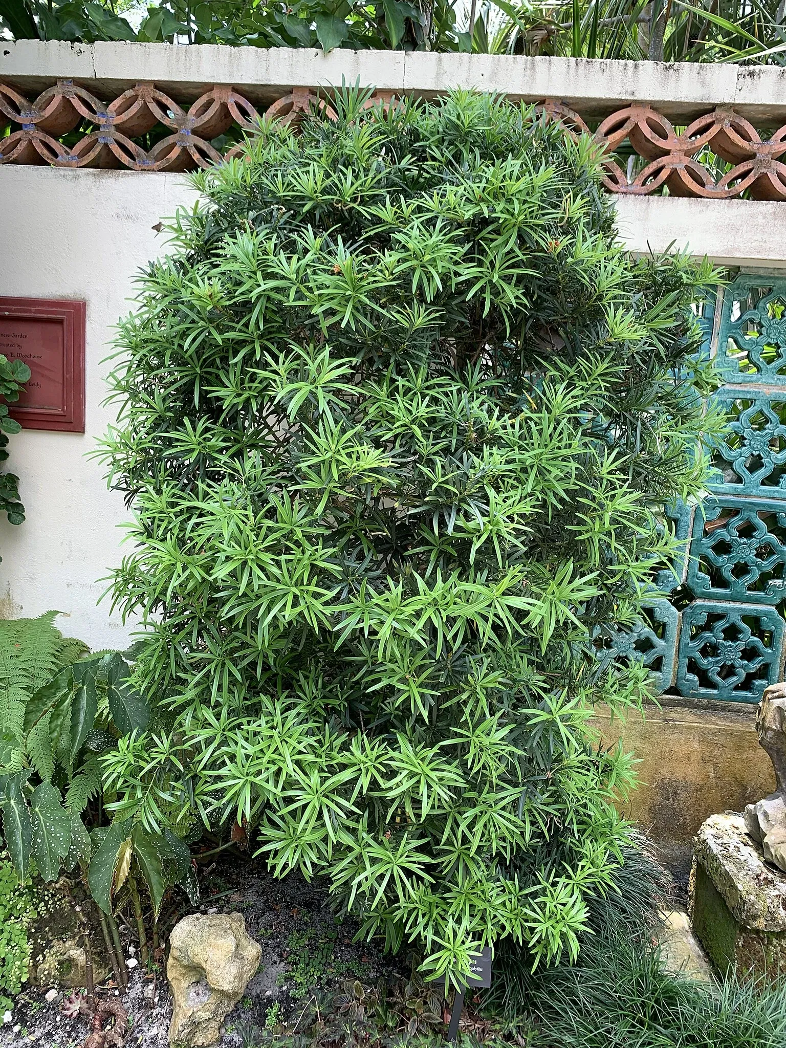 The Society of the Four Arts