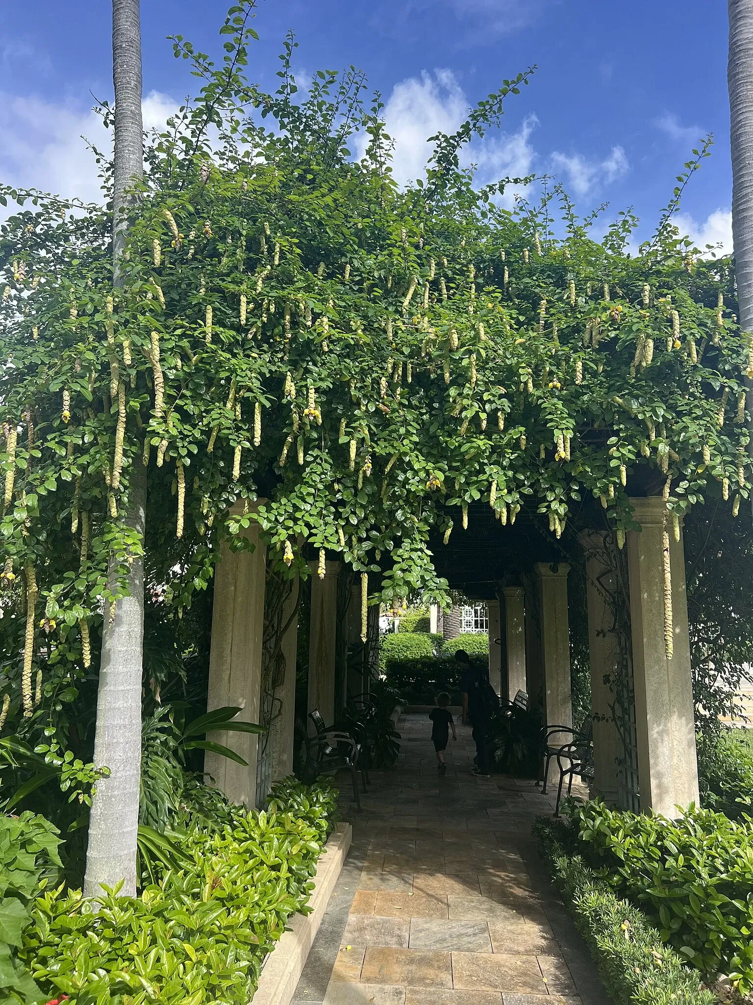 The Society of the Four Arts