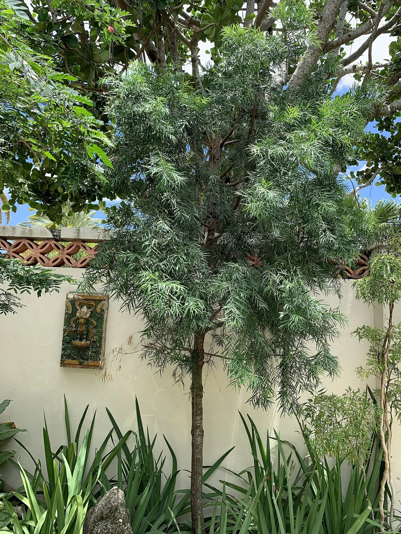 The Society of the Four Arts