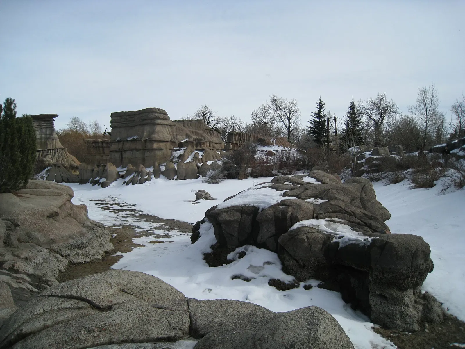 Calgary Zoo