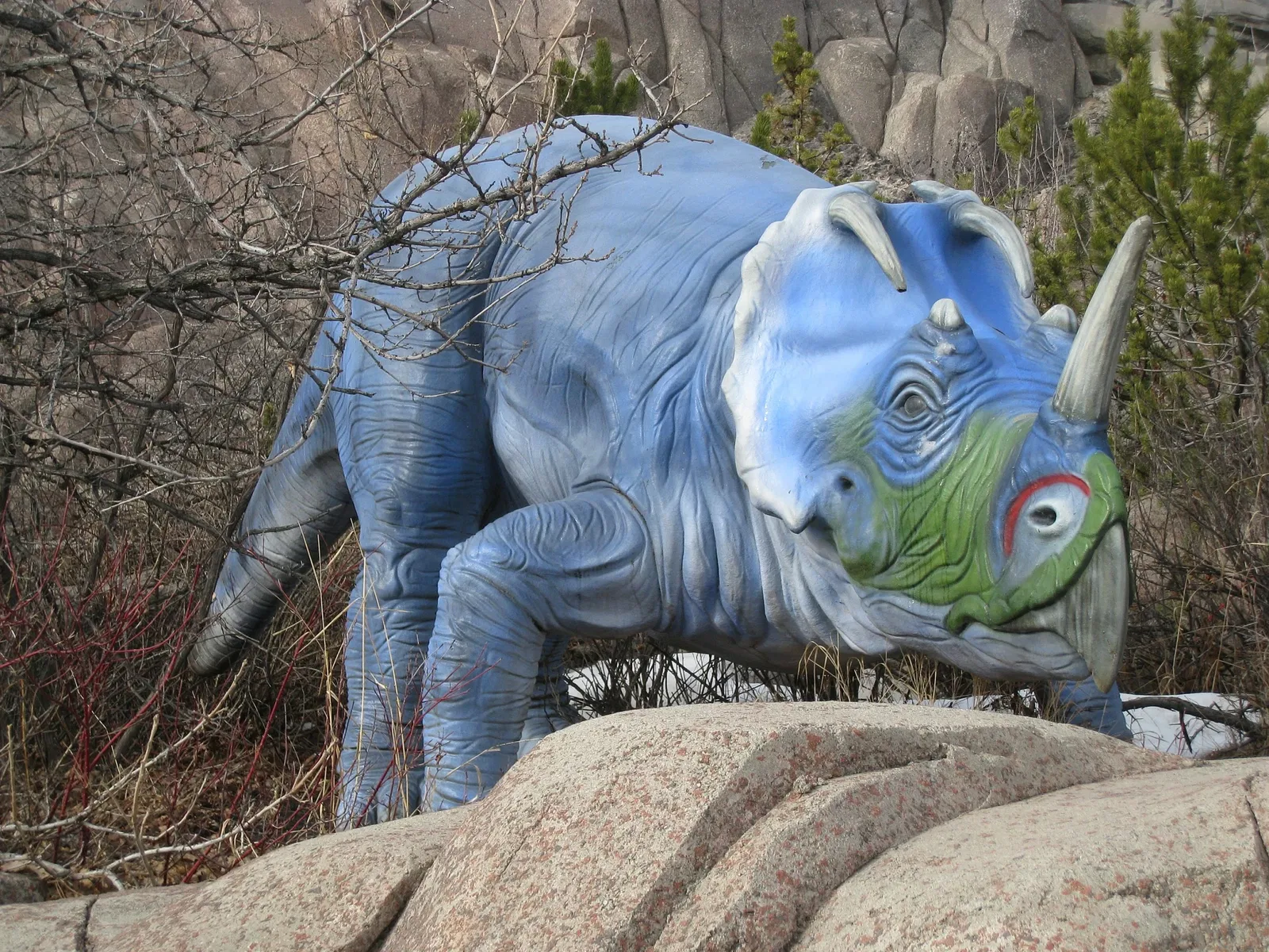 Zoológico de Calgary