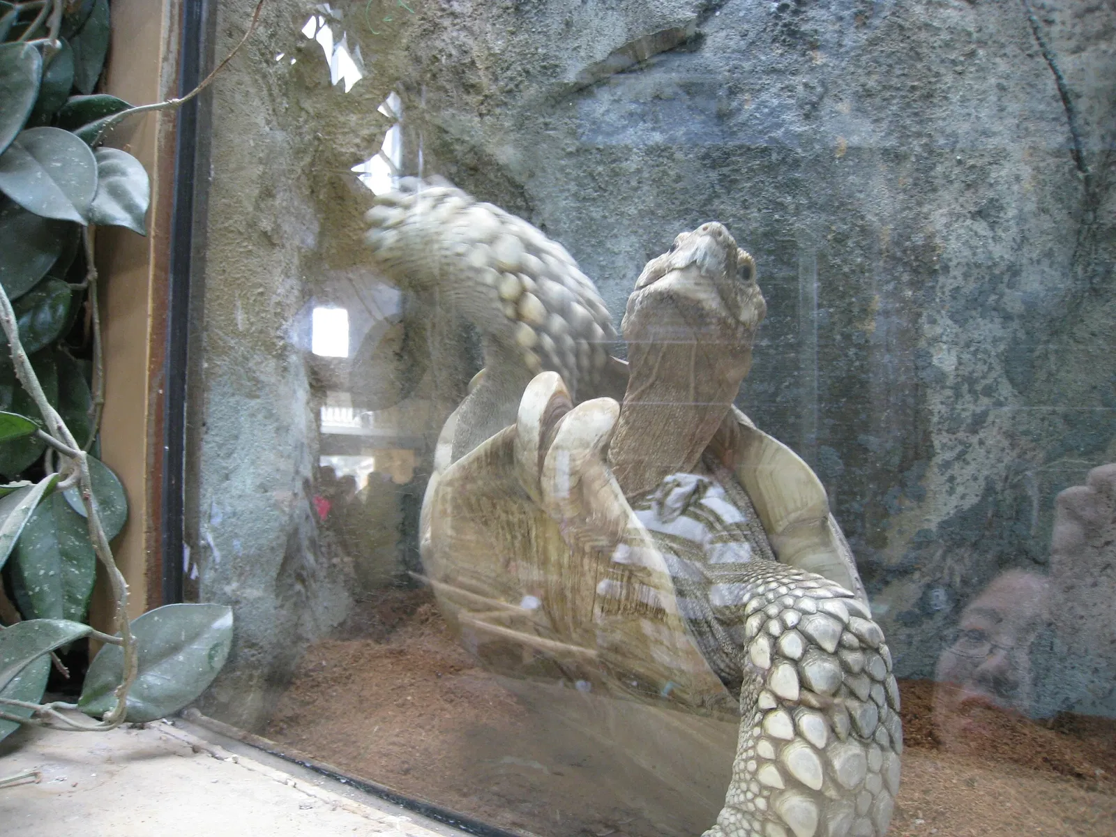 Zoológico de Calgary