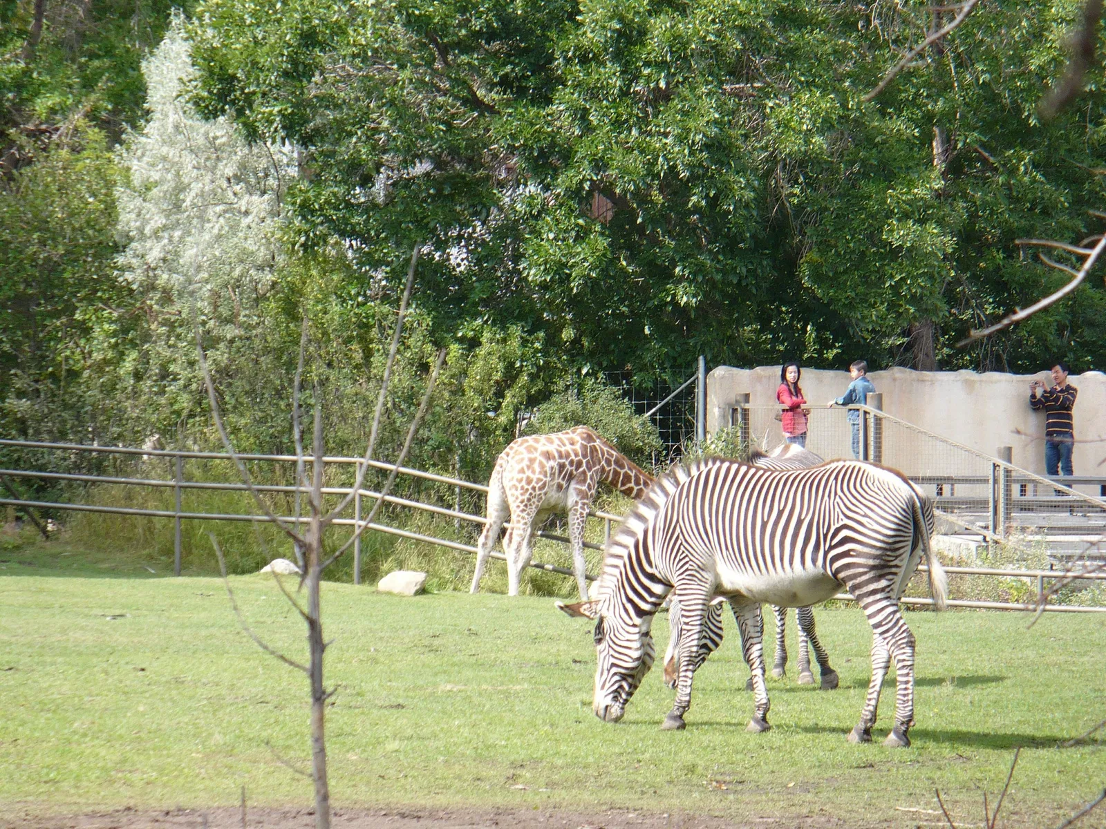 Zoo de Calgary