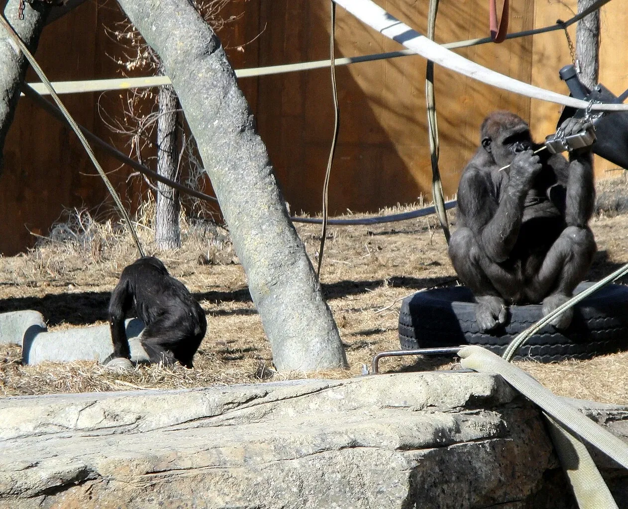 Zoológico de Calgary