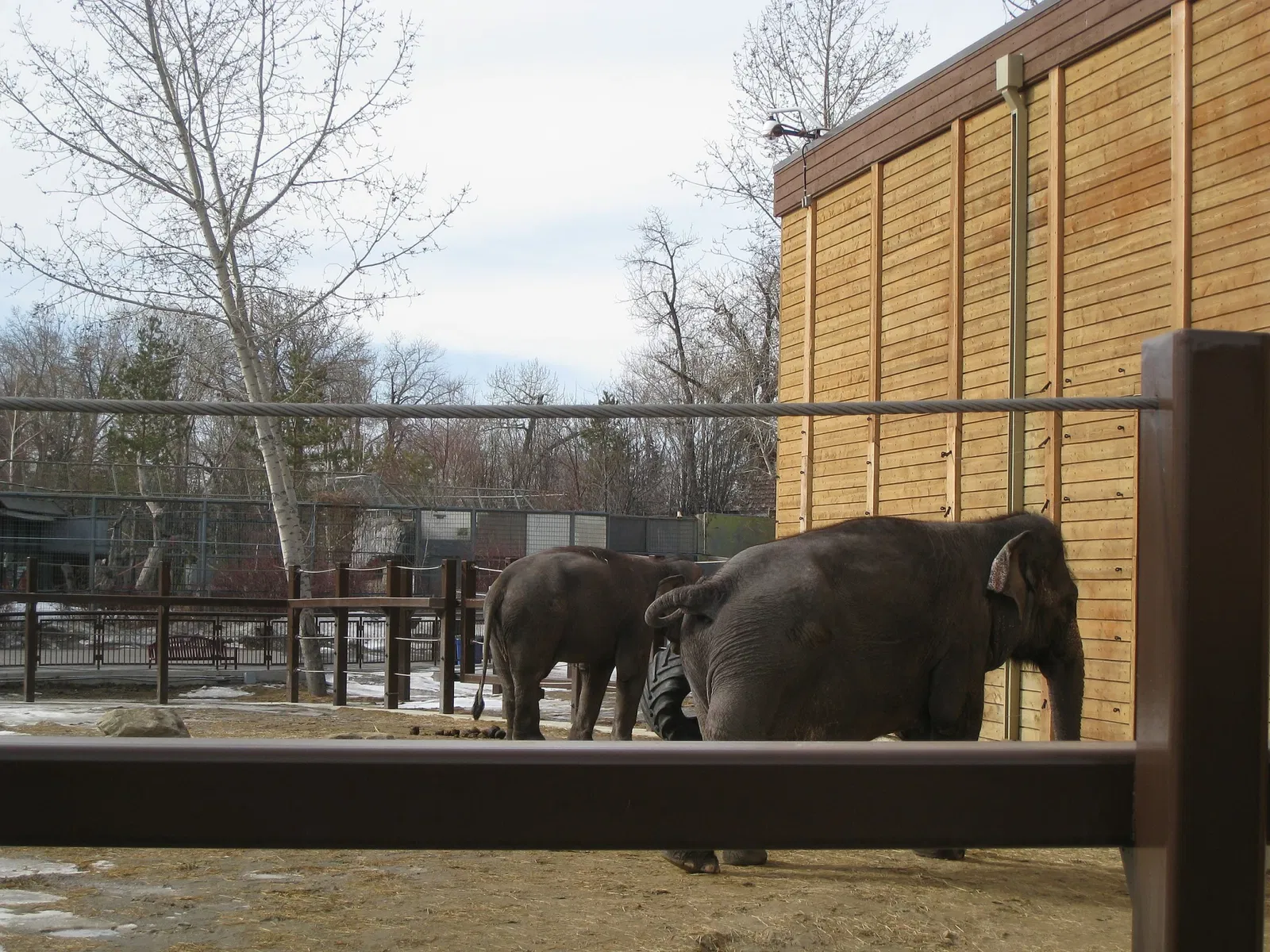 Zoológico de Calgary