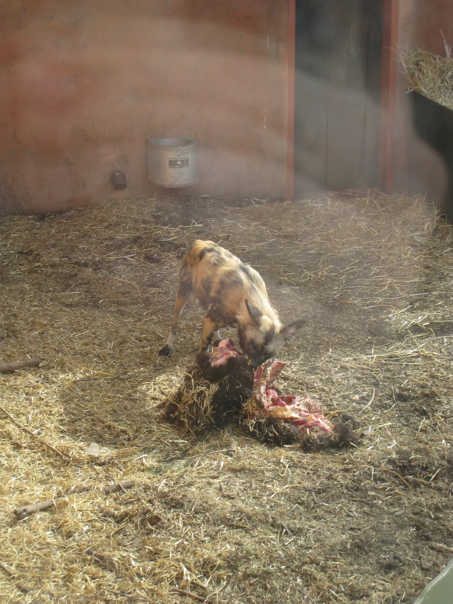 Zoológico de Calgary