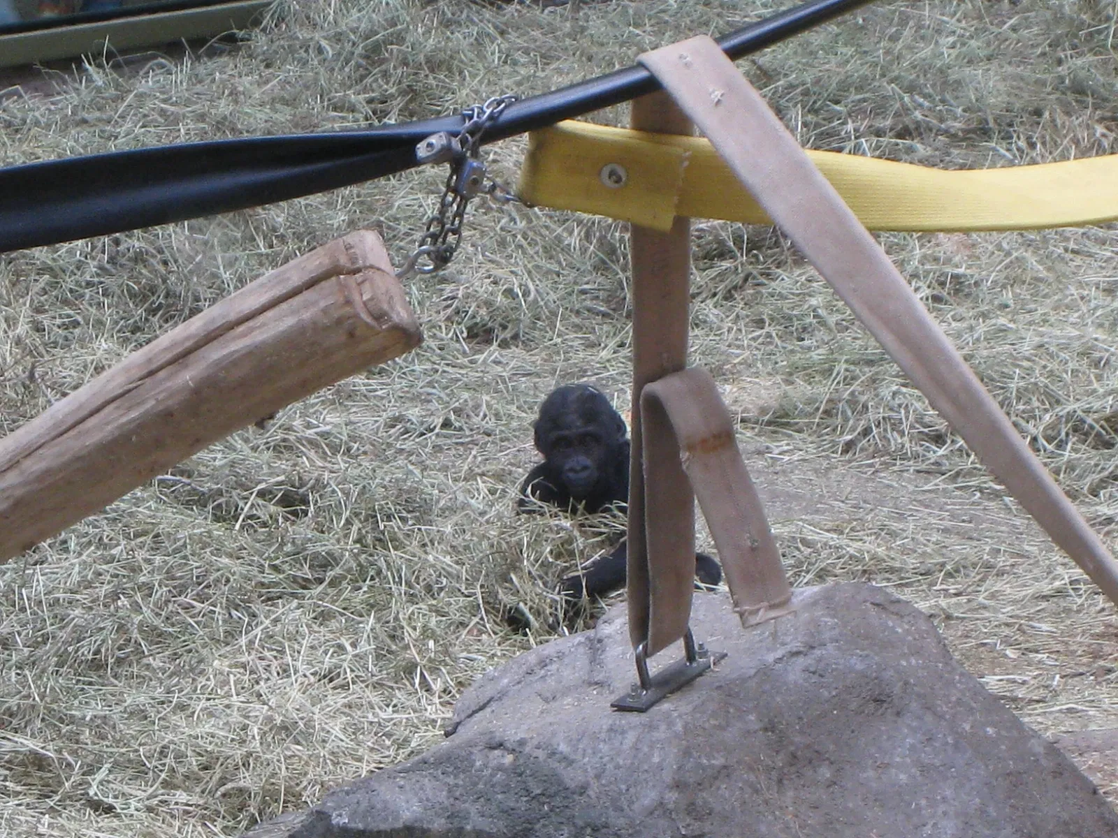 Zoológico de Calgary