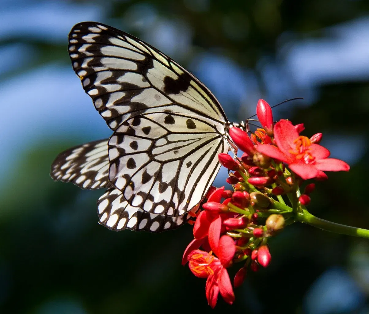 Zoológico de Calgary