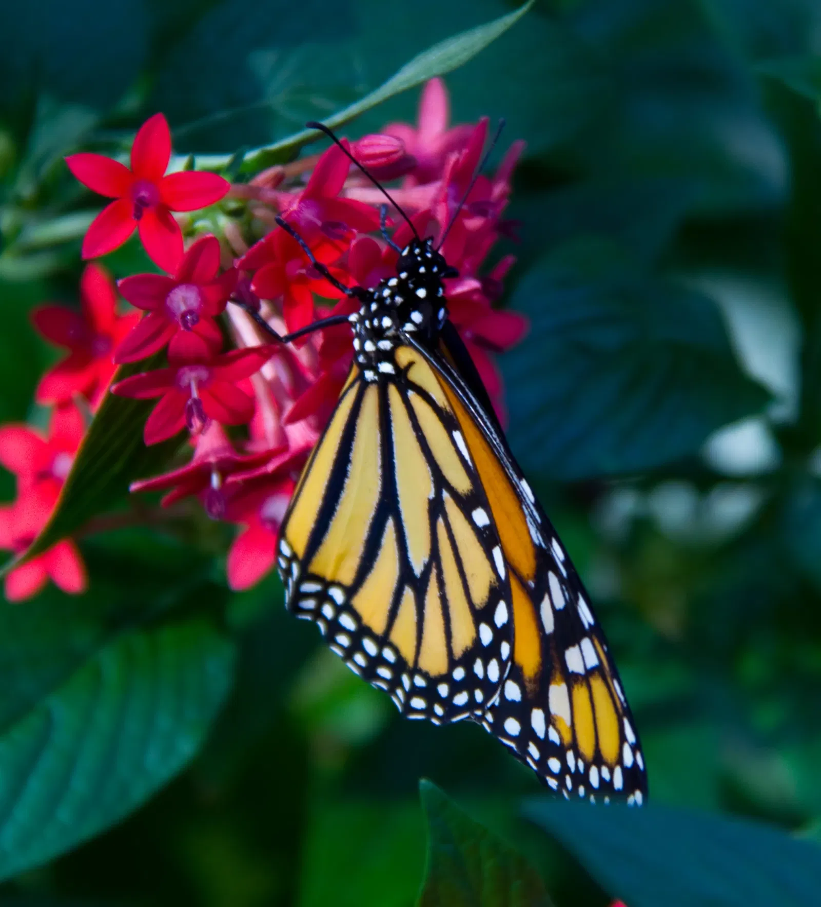 Zoológico de Calgary