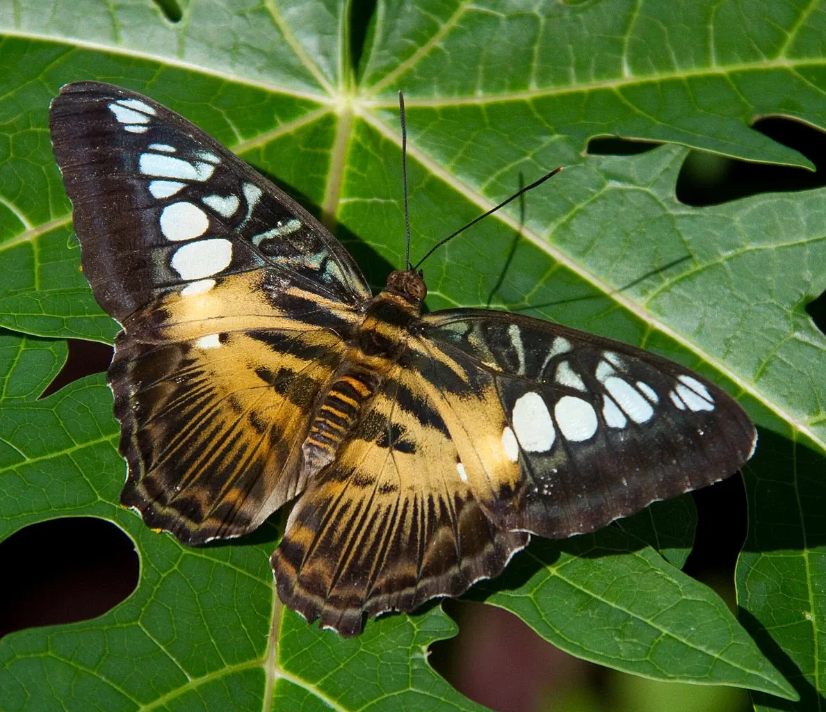 Zoológico de Calgary