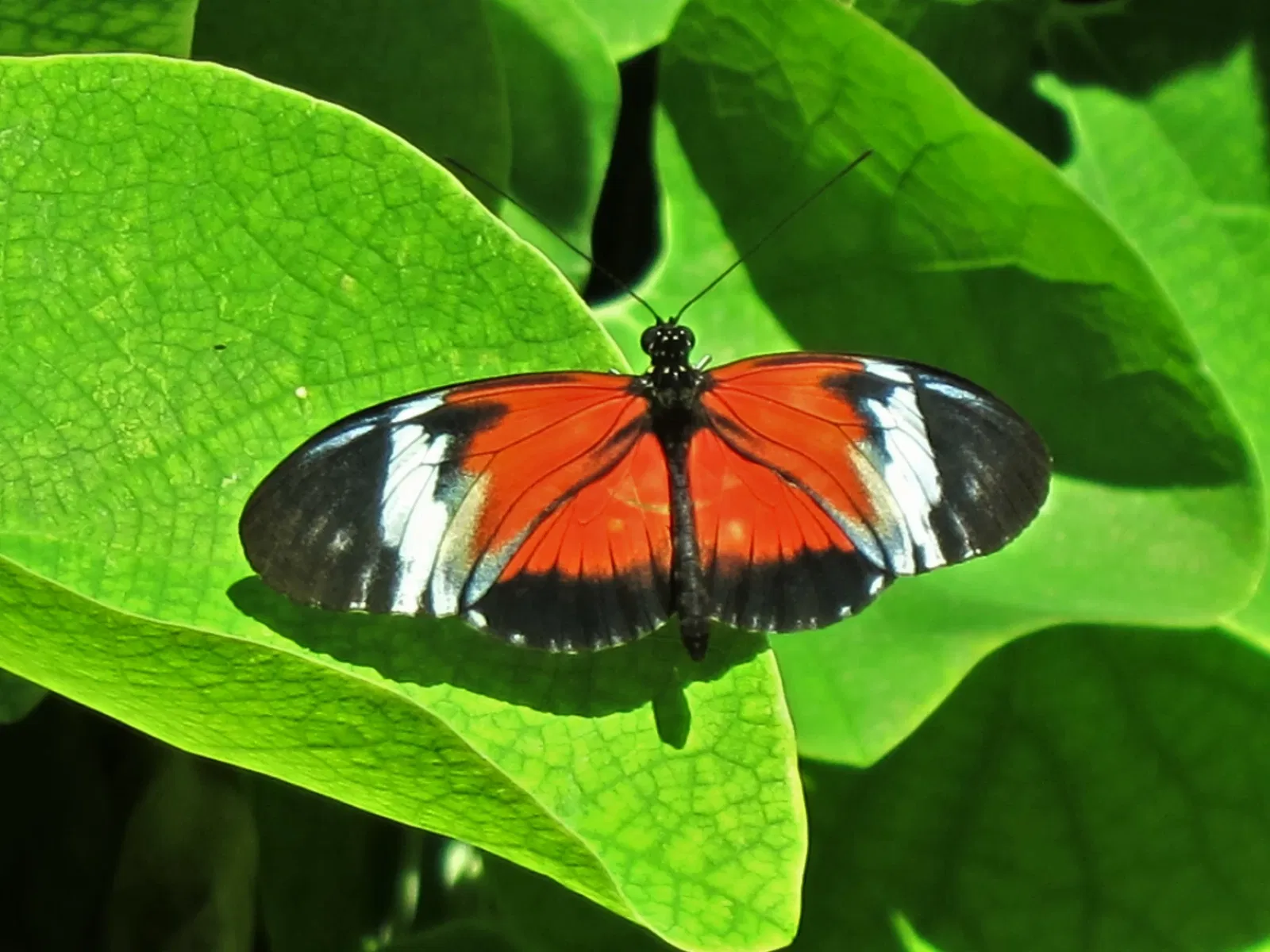 Zoológico de Calgary