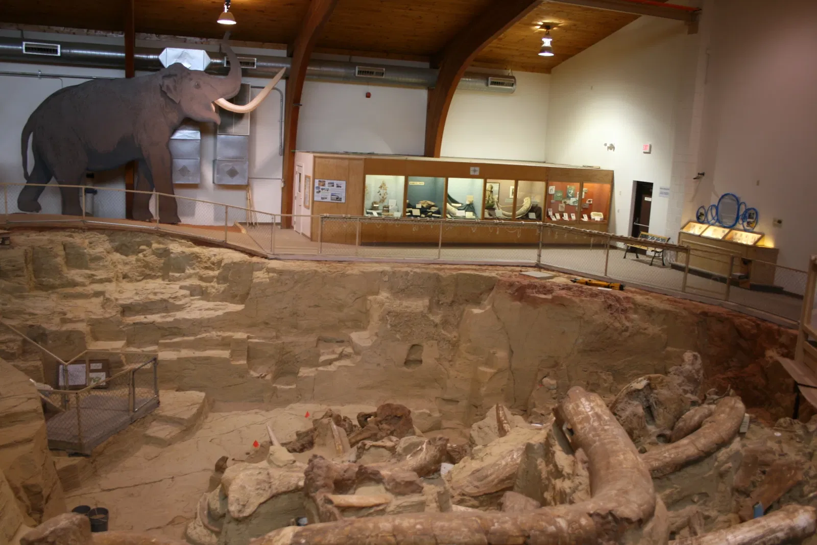 The Mammoth Site of Hot Springs