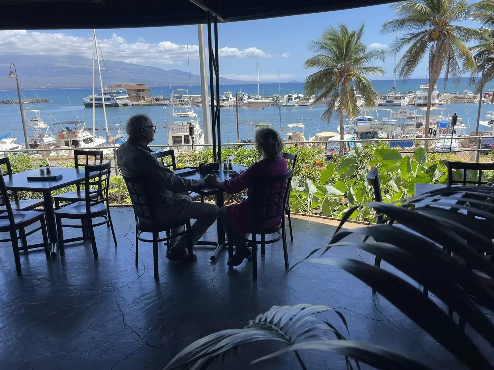 Maui Ocean Center - Aquarium of Hawai'i