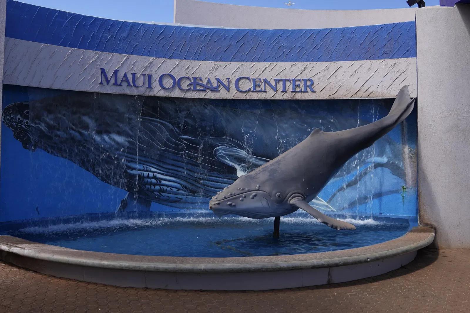 Maui Ocean Center - Aquarium of Hawai'i