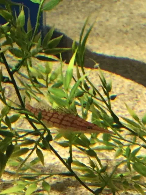 Maui Ocean Center - Aquarium of Hawai'i