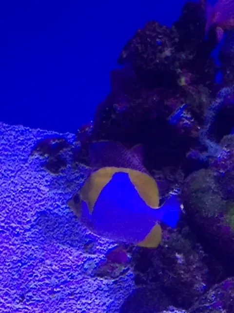 Maui Ocean Center - Aquarium of Hawai'i