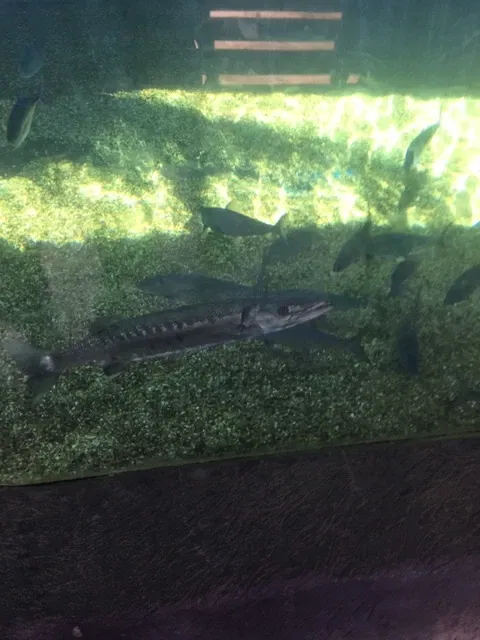 Maui Ocean Center - Aquarium of Hawai'i