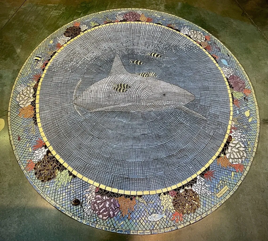 Maui Ocean Center - Aquarium of Hawai'i